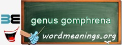 WordMeaning blackboard for genus gomphrena